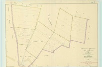 Bourgogne-Fresne (51075). Section W3 échelle 1/2000, plan remembré pour 1956, plan régulier (papier).