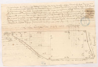 Arpentage et mesurage d'une coupe de bois tailly assise dans les bois digny appelé les" venttes digny"au dessus des terres et prés de Rosoy, levé par Letoffé, 1742