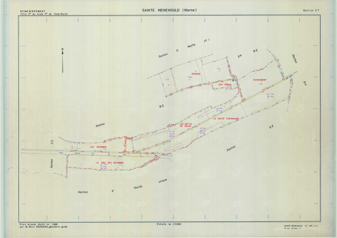 Sainte-Menehould (51507). Section ZT échelle 1/2000, plan remembré pour 1984, plan régulier (calque)