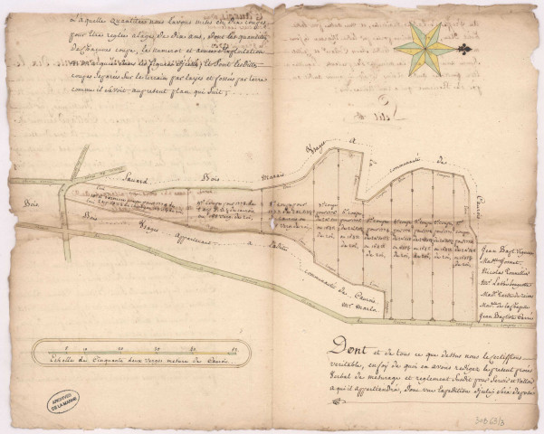 Plan d'une pièce de bois appellée le bois Bourciers située au terroir de Caurois lez Hermonville (8 janvier 1770), Nicolas Petit