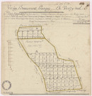 Plan figuratif des bois de communautés de Verzy Beaumont Prunay, 1740.