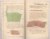 Plans de pièces de terre situées sur le terroir de Germigny pend la pie lieux-dit les Coutures, les Croyeres, le Pommier Pinchart et les fosses Moricot (1782), Villain, Buiron