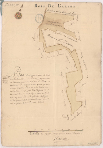 Abbaye de St Thierry. Plan de pièces de bois dépendantes du domaine de l’archevêché de Reims par Nicolas Petit, 28 mars 1780. Le bois de l’Arbre, terroir de Luternay.