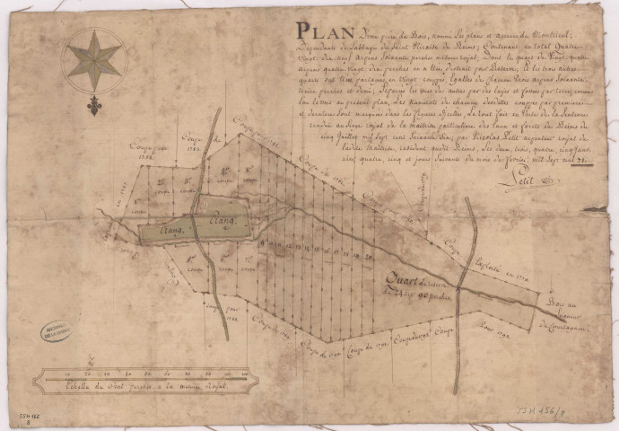 Plan d'une pièce de bois nommée les plans et accrues de Montrieul Cne Sermiers (1771), Nicolas Petit