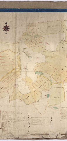 Plan des bois et finage de l'abbaye de Trois Fontaines, XVIIIè s.