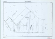 Vert-Toulon (51611). Section YW échelle 1/1000, plan remembré pour 2010 (rectification), plan régulier (papier)