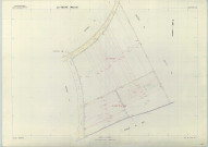 Veuve (La) (51617). Section YE échelle 1/2000, plan remembré pour 1983, plan régulier (papier armé)