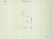 Montgenost (51376). Section ZN échelle 1/1000, plan renouvelé pour 01/01/1964, régulier avant 20/03/1980 (calque)