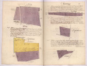 Arpentages et plans de pièces de terre sur le terroir de Chaumuzy, lieux-dits au-dessus des aunes, les Bauches, le Noyer des Brullés, la Croix arson et Lemoulin a vent (1757)
