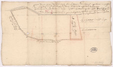 Plan d'une pièce de terre appelée la Tournelle située sur le terroir de Clairizet (vers 1700)