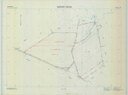 Noirlieu (51404). Section ZM échelle 1/2000, plan remembré pour 1979 (extension sur Contault section ZM), plan régulier (calque)