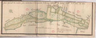 Plan général des rivières, prés, marais en la seigneurie de la sous-infirmerie de l'abbaïe roïalle de St Remi de Reims (1769), Villain