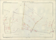 Bignicourt-sur-Saulx (51060). Section ZD échelle 1/2000, plan remembré pour 1973, plan régulier (papier armé)