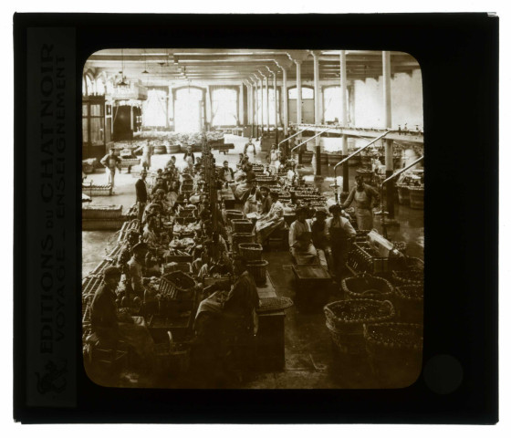 Les vins de Champagne. Les chantiers de tirage.