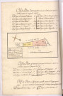 Plan du 67e canton du terroir de Chenay appellé les Pétreaux comprenant les numéros 1285 à 1290 1779, Villain