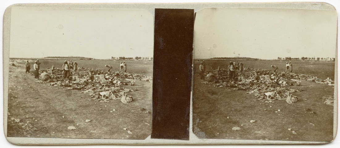 Champ de bataille de Champagne entre Souain et Saint-Hilaire-le-Grand. Soldats français occupés à trier les objets abandonnés par les Allemands à l'attaque du 25 septembre, 10 octobre 1915 .