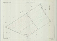 Broussy-le-Grand (51090). Section YN échelle 1/2000, plan remembré pour 01/01/1980, plan régulier de qualité P5 (calque)