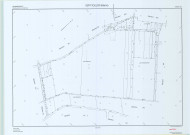 Vert-Toulon (51611). Section YS échelle 1/1000, plan remembré pour 2010 (rectification), plan régulier (papier)