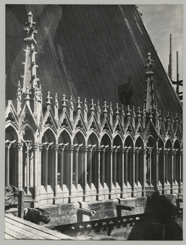 REIMS. Cathédrale de Reims. Détail de la galerie haute de la nef côté sud.