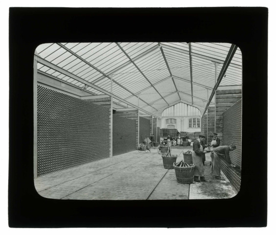 Hall et réserve de bouteilles / Fs Rothier