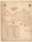 Plan et arpentage de pièces de bois appelées bois de Reims, d'Eclisse et de Liermont situées en la terre et seigneurie de Chaumuzy (1726), Arnoult Hazart