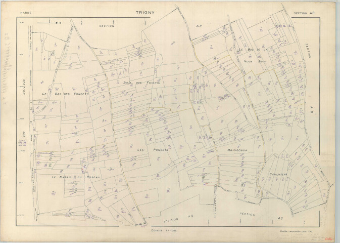 Trigny (51582). Section AR échelle 1/1000, plan renouvelé pour 1962, plan régulier (papier armé).