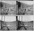 Douaumont 1917. Blessé allemand (vue 1). Les Éparges 1917. Ravin de Fragaulle (vue 2)