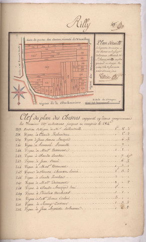 Plan du canton des Chesnes cotté D au plan général du terroir de Rilly-en-la-Montagne (1781), Villain
