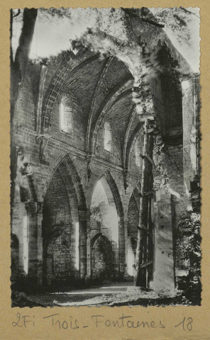 TROIS-FONTAINES-L'ABBAYE. -4-Abbaye de Trois-Fontaines (Marne). Ruines de la nef.
