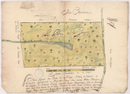 Courmelois. Plan figuré du bois de La Conge situé au terroir de Cormelois, novembre 1731.
