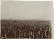RILLY-LA-MONTAGNE. Vue du vignoble