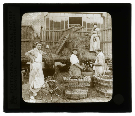 Les vins de Champagne. La réception des bouteilles.