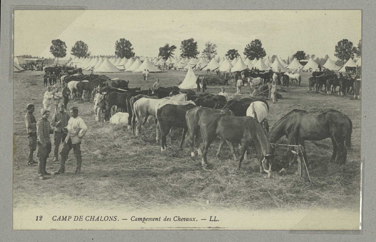 MOURMELON-LE-GRAND. 12 Camp de Châlons. - Campement des chevaux.
LL.Sans date