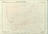 Lisse-en-Champagne (51325). Section ZD échelle 1/2000, plan remembré pour 1982, plan régulier (papier armé)