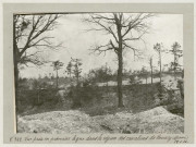 Vue prise en première ligne dans la région des cavaliers de Courcy (Marne), 15 janvier 1916.