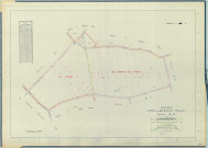 Vert-Toulon (51611). Section ZH 1 échelle 1/2000, plan remembré pour 2005 (extension sur Étoges YA), plan régulier (calque)