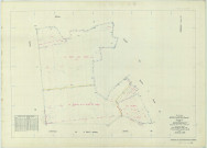 Boissy-le-Repos (51070). Section ZD échelle 1/2000, plan remembré pour 01/01/1969, régulier avant 20/03/1981 (papier armé)