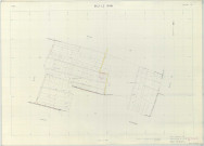 Billy-le-Grand (51061). Section AC échelle 1/1000, plan remembré pour 1988, plan régulier (papier armé)