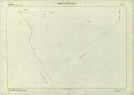 Vanault-le-Châtel (51589). Section YL échelle 1/2000, plan remembré pour 1965, plan régulier (papier armé)