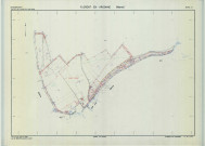 Florent-en-Argonne (51253). Section ZI échelle 1/2000, plan remembré pour 1983, plan régulier (calque)