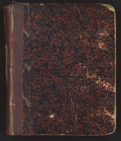 Journal de campagne de Julien Pinard