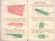 Arpentages et plans de pièces de terre au terroir d'Attigny, lieux-dits : le Camp autrement dit le Chemin de la Saulx, la Barodelle, la Saulx Meline et Marignon (1761)