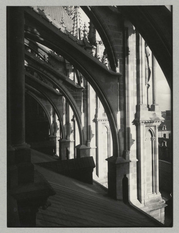 REIMS. Cathédrale de Reims. Arc boutant de la nef, côté sud.