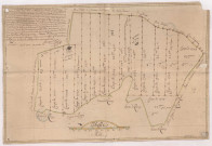 Plan et carte figuratif du bois appelé le bois pourcisoire dépendant de la Seigneurie de Pourcy, dressé par Jacques D'Olizy, 1747.
