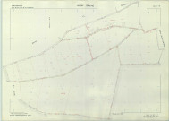 Valmy (51588). Section YM échelle 1/2000, plan remembré pour 1979, plan régulier (papier armé)