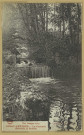 BUSSY-LETTRÉE. La Cascade (rivière de la Soude).
Librairie Dijon.[vers 1951]
[Collection Vve Lallement]