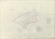 Bouy (51078). Section ZE échelle 1/1000, plan remembré pour 1960 (renouvelé pour 1964), plan régulier (papier armé)