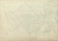 Saint-Amand-sur-Fion (51472). Section ZX échelle 1/2000, plan remembré pour 1982, plan régulier (papier armé)