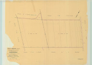 Saint-Thierry (51518). Section X3 échelle 1/2000, plan remembré pour 1955, plan régulier (papier).