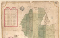 Plan des bois de la baronnie des Pothées proche Rocroi (1724), Hazart